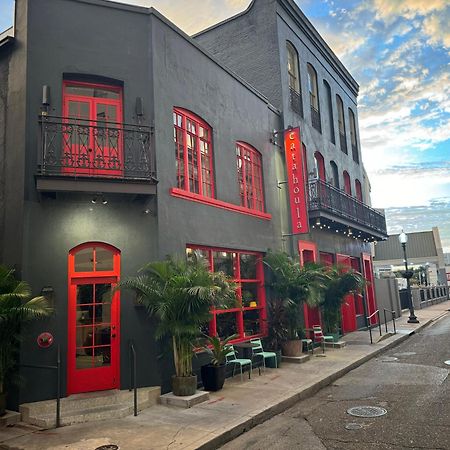 Catahoula Hotel La Nouvelle-Orléans Extérieur photo